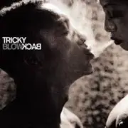 Обложка: Tricky - Diss Never