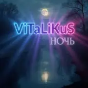 Обложка: ViTaLiKuS - Ночь