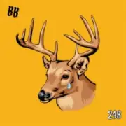 Обложка: Ben Burgess - Get Buck