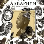 Аквариум - Ангел дождя