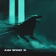 Обложка: AIM WIND X & AIM WIND - Run