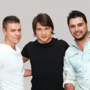 Обложка: Корни - Это не спам