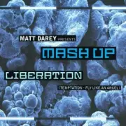 Обложка: Matt Darey pres. Mash Up - Liberation (Ferry Corsten Remix)