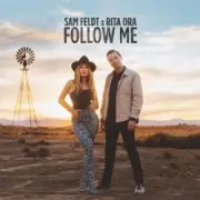 Обложка: Sam Feldt - Winter Wonderland