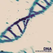 Обложка: KVSH & Future Skies - DNA
