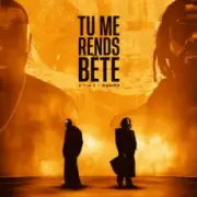 Обложка: GIMS & Damso - TU ME RENDS BÊTE