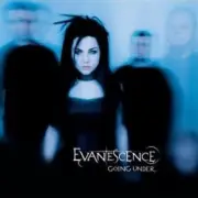 Обложка: Evanescence - Heart Shaped Box (Live Acoustic Version)