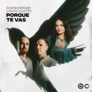 Обложка: BASSMASSAGE & Sofía Martín - Porque Te Vas
