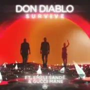 Обложка: Don Diablo - Survive