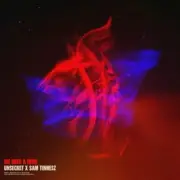 Sam Tinnesz - We Need A Hero