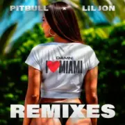 Обложка Pitbull & Lil Jon – Damn I Love Miami (DJ Laz Miami Bass Remix & DJ Julian & Danny D)