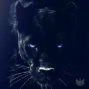 Обложка: Adam Jamar - Black Panther