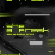 Armin van Buuren & Skytech - She A Freak