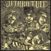 Обложка: Jethro Tull - Reasons For Waiting