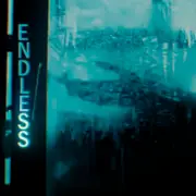 Обложка: Navjaxx - Endless