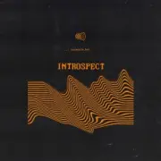 Barnacle Boi - In The Dark