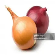 Обложка: internetcafe247 - funny onion song