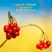 Обложка: Бумбокс - Ой У Лузі Червона Калина