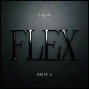 Обложка: Tiesto & Oscar L - Flex