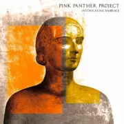 Обложка: Pink Panther Project - Distorted Dj