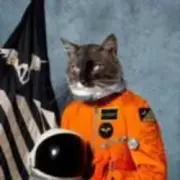 Обложка: Klaxons - Twin Flames