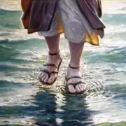 Обложка: Наутилус Помпилиус - Прогулки по воде