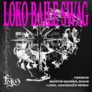 Martin Garrix & DVLM - Tremor (Headbuzz & Loko Remix)