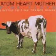 Обложка: Pink Floyd & The Orb - Atom Heart Mother