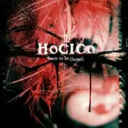 Обложка: Hocico - Not Like You