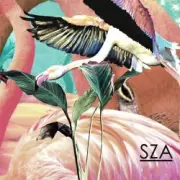 Обложка: SZA - Castles