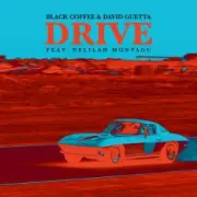 Обложка: Black Coffee & David Guetta, Delilah Montagu - Drive