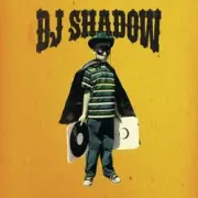 Обложка: DJ Shadow - Midnight In A Perfect World