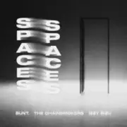 Обложка: BUNT. & The Chainsmokers & Izzy Bizu - Spaces