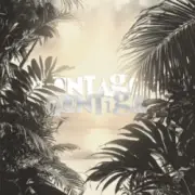 Обложка: Repsaj - MONTAGEM CONTIGO (Super Slowed)