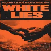 Обложка: Tujamo & Charlie Ray & imallryt - White Lies