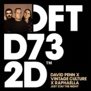 Обложка David Penn & Raphaella & Vintage Culture – Just Stay The Night