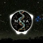 Обложка: AI MOVA - Остання ніч