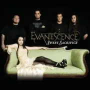 Обложка: Evanescence - Weight Of The World [Live From Tokyo]