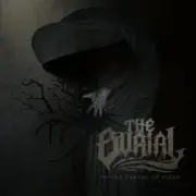Обложка: Burial - Pirates
