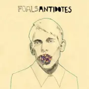 Обложка: Klaxons - Totem On The Timeline