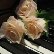 Обложка: Василь Котович - Я ніколи нікому тебе не віддам