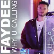 Обложка: Faydee - Why U Calling