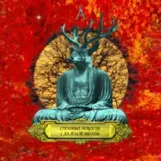 Обложка: Аквариум - Поговорим о Мертвых