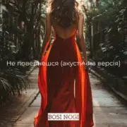 Обложка: BOSI NOGI - Не повернешся (акустична версія)