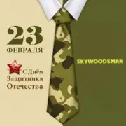 Обложка: Dr.skywoodsman - 23 февраля