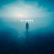 Обложка: skyfall beats - stoned