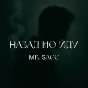 Обложка: Mr. Safe - Назад не йду