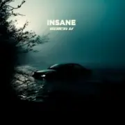 Обложка: Butch U - Insane