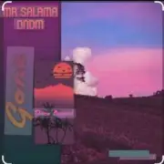Обложка: Mr Salama, DNDM - Gone