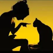 Обложка: Armin van Buuren - Communication (Jon Vesta Remix)